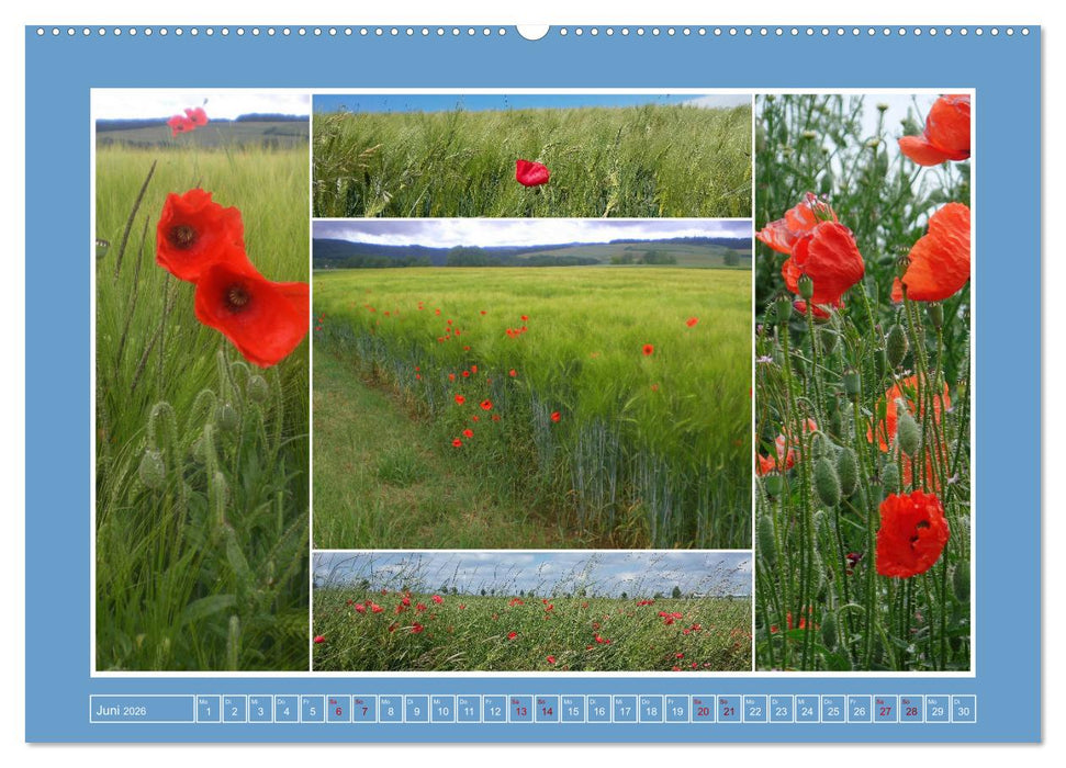 Collagen aus Eifel und Umland 2026 (CALVENDO Premium Wandkalender 2026)