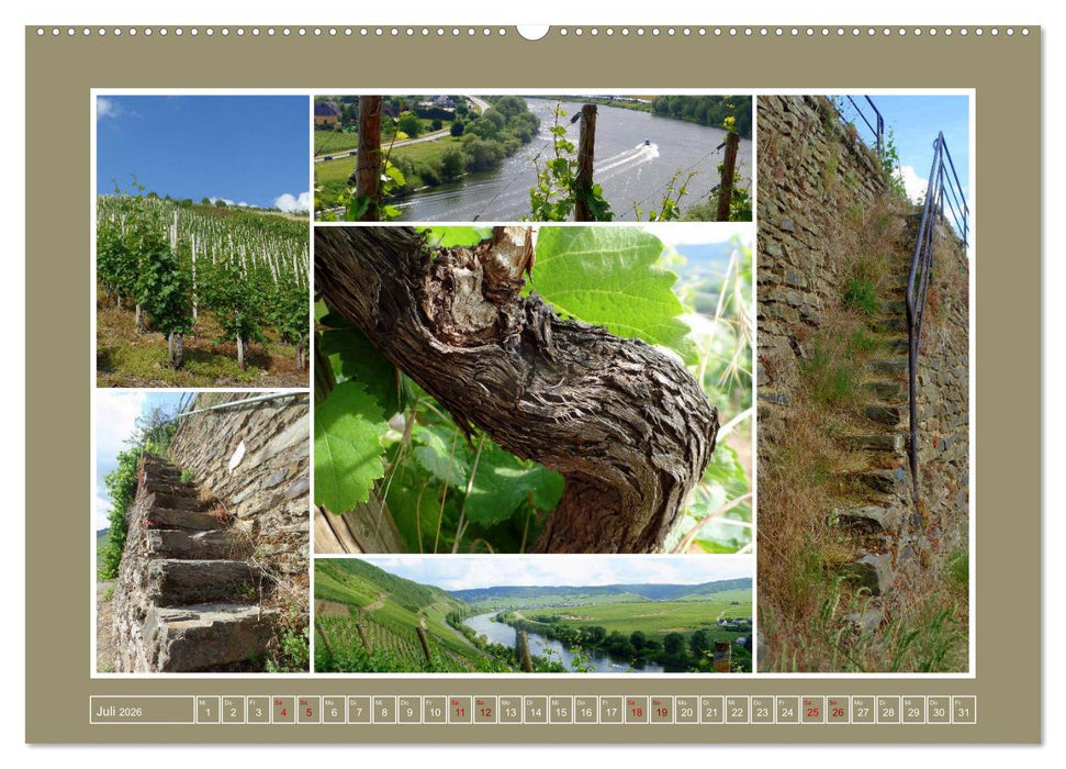 Collagen aus Eifel und Umland 2026 (CALVENDO Premium Wandkalender 2026)