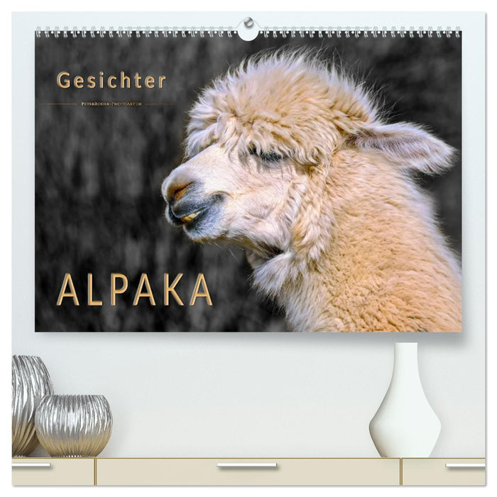 Alpaka Gesichter (CALVENDO Premium Wandkalender 2026)