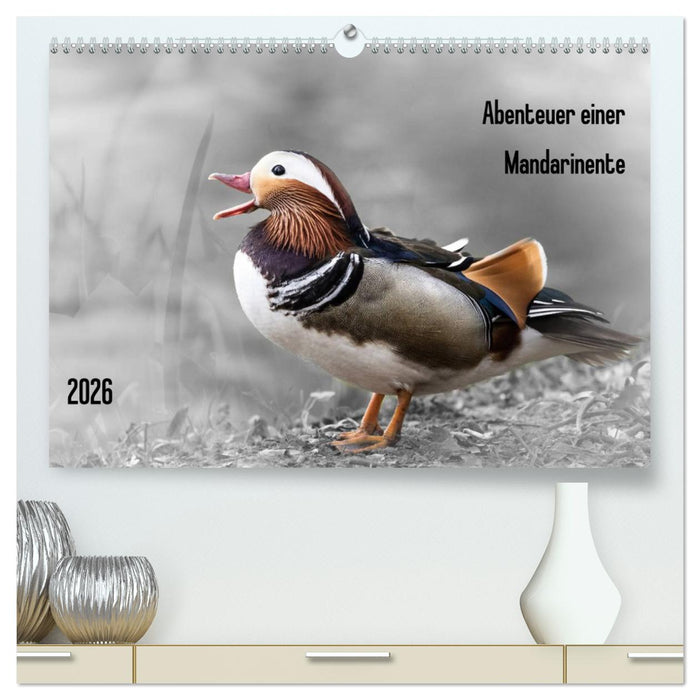 Abenteuer einer Mandarinente (CALVENDO Premium Wandkalender 2026)