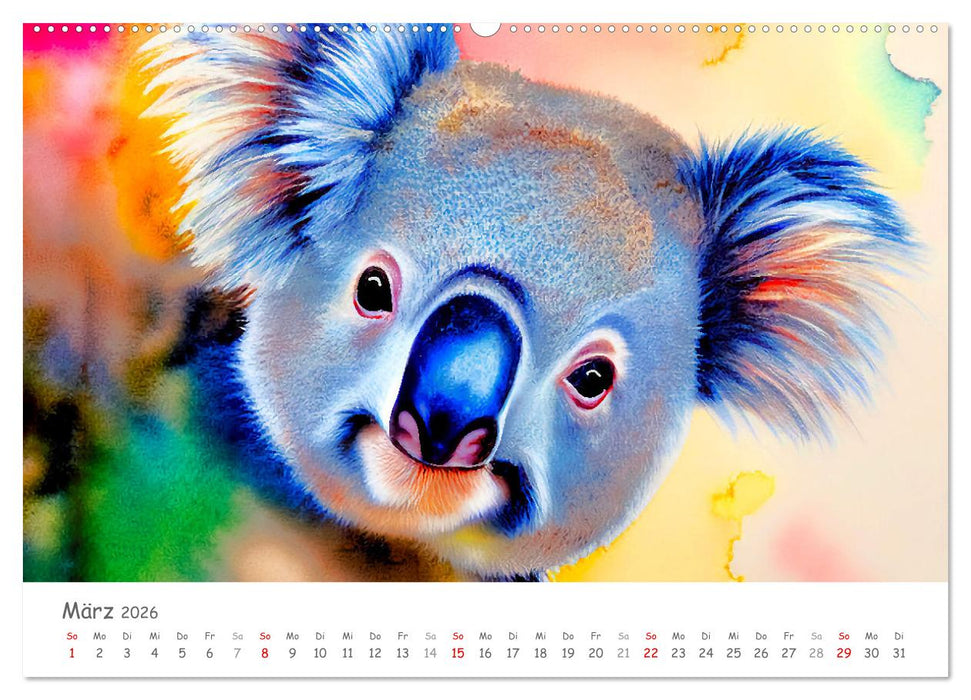 Der Koala 2026. Aschgrauer Beutelbär (CALVENDO Premium Wandkalender 2026)