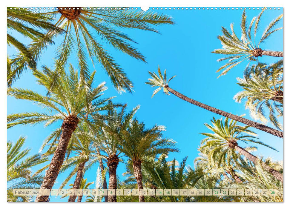 Oben - Bilder aus der Froschperspektive (CALVENDO Premium Wandkalender 2026)