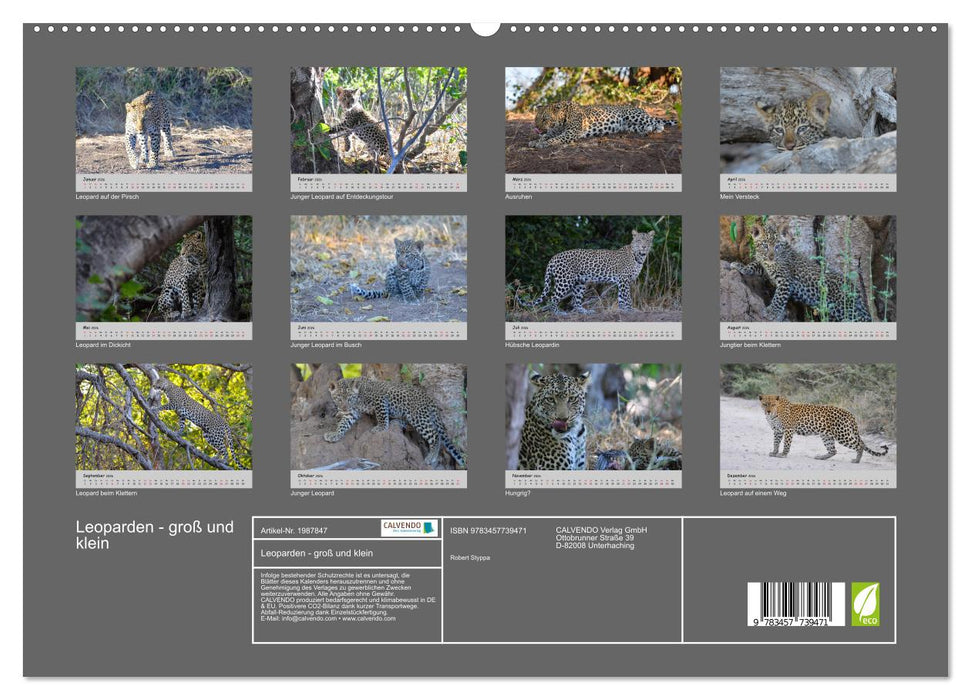 Leoparden - groß und klein (CALVENDO Premium Wandkalender 2026)