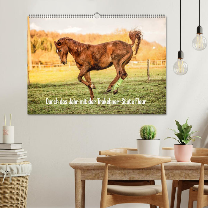Durch das Jahr mit der Trakehner-Stute Fleur (CALVENDO Wandkalender 2026)