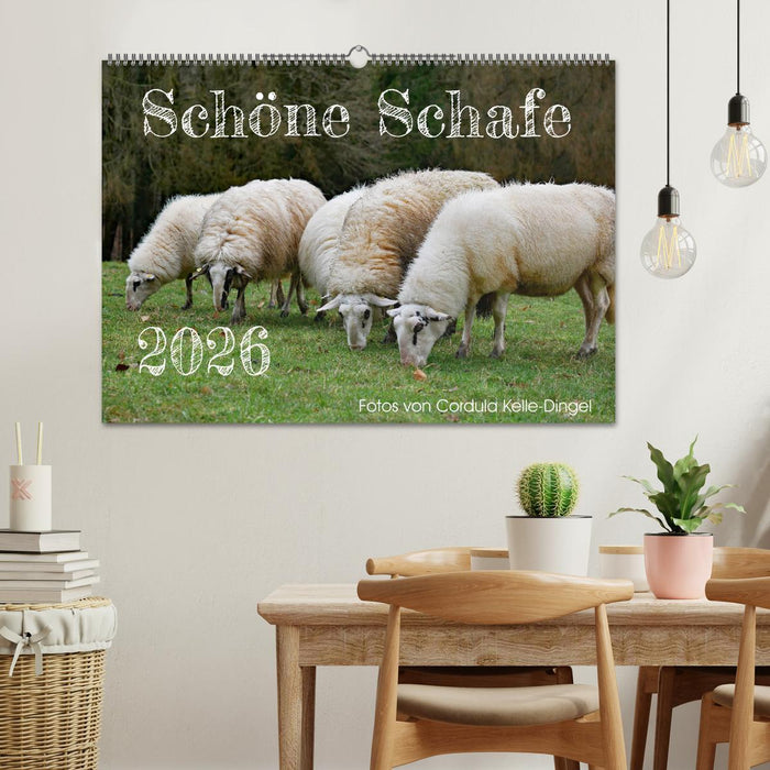 Schöne Schafe (CALVENDO Wandkalender 2026)