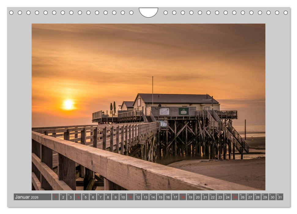 Zuhause am Meer (CALVENDO Wandkalender 2026)