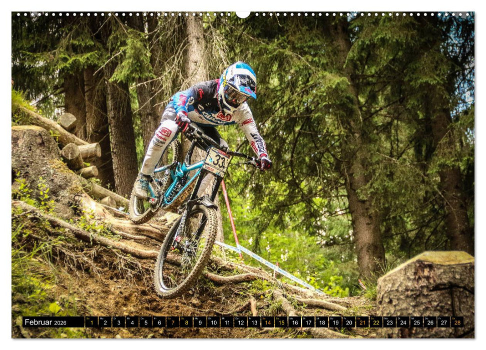 Downhill Racing (CALVENDO Premium Wandkalender 2026)
