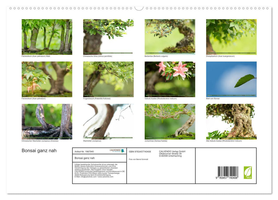Bonsai ganz nah (CALVENDO Premium Wandkalender 2026)