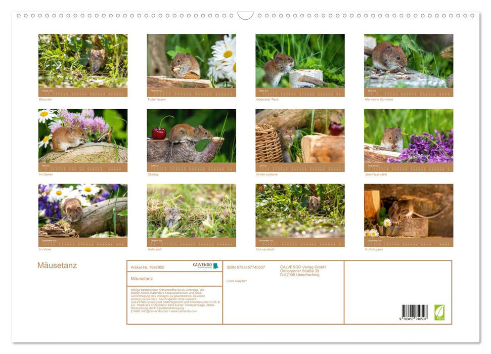 Mäusetanz (CALVENDO Wandkalender 2026)