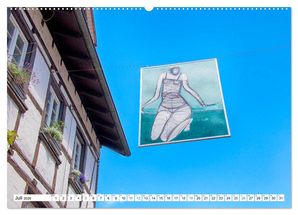 Radolfzell - schmucke Stadt am Bodensee (CALVENDO Premium Wandkalender 2026)