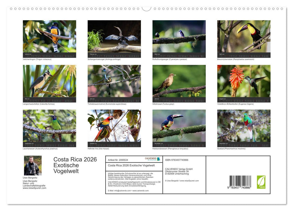 Costa Rica 2026 Exotische Vogelwelt (CALVENDO Premium Wandkalender 2026)
