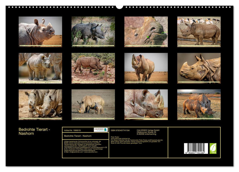 Bedrohte Tierart - Nashorn (CALVENDO Premium Wandkalender 2026)