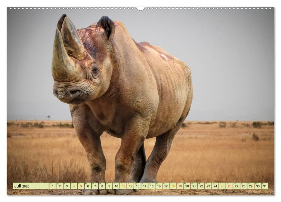 Bedrohte Tierart - Nashorn (CALVENDO Premium Wandkalender 2026)