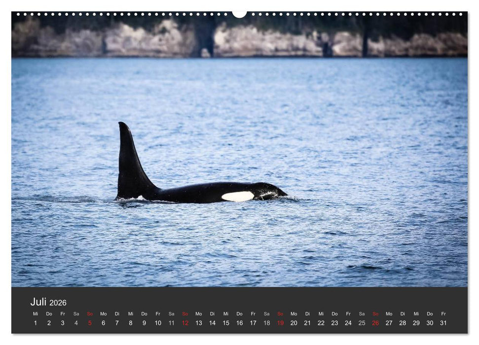 Alaska 2026 - faszinierend anders (CALVENDO Premium Wandkalender 2026)