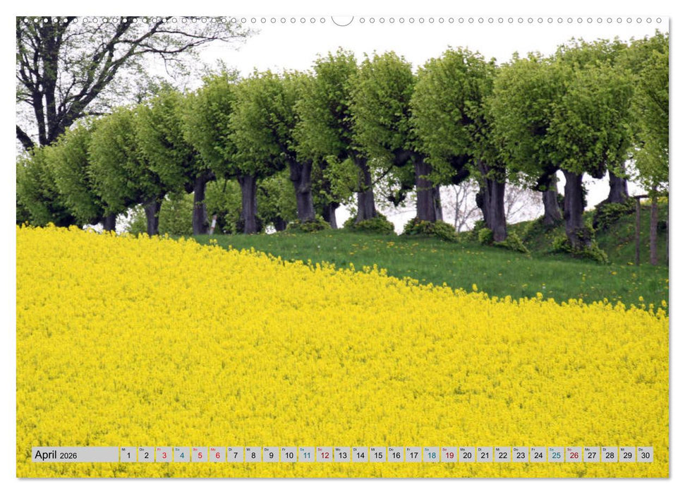 Schloss Bothmer - Klützer Schlossimpressionen (CALVENDO Premium Wandkalender 2026)