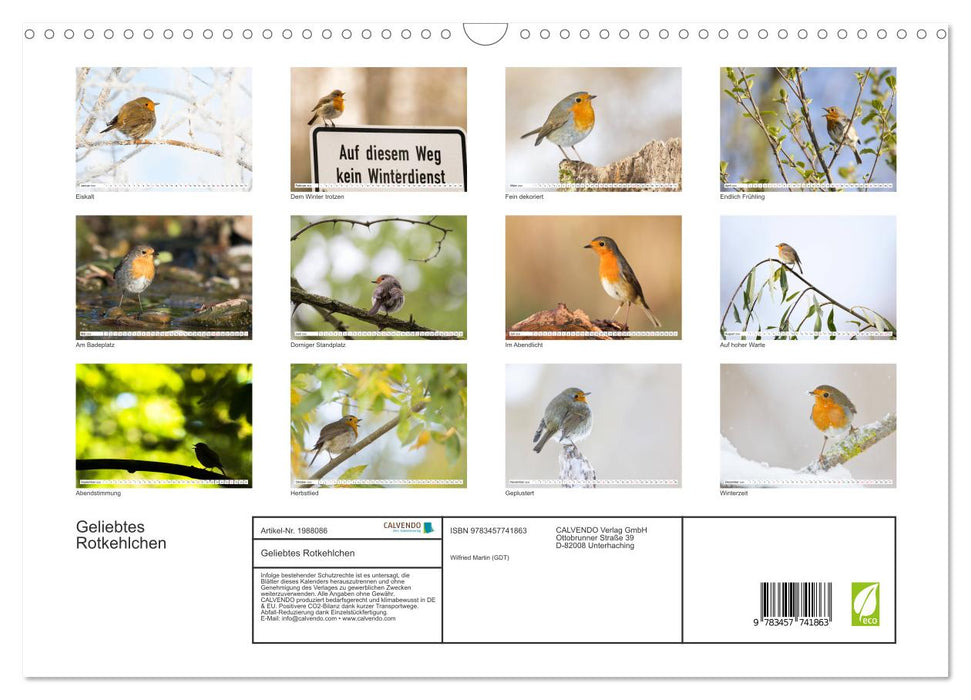 Geliebtes Rotkehlchen (CALVENDO Wandkalender 2026)