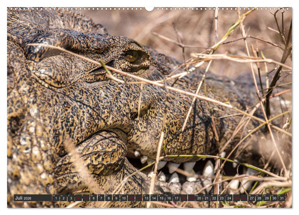 Uganda - im Herzen von Afrika (CALVENDO Premium Wandkalender 2026)