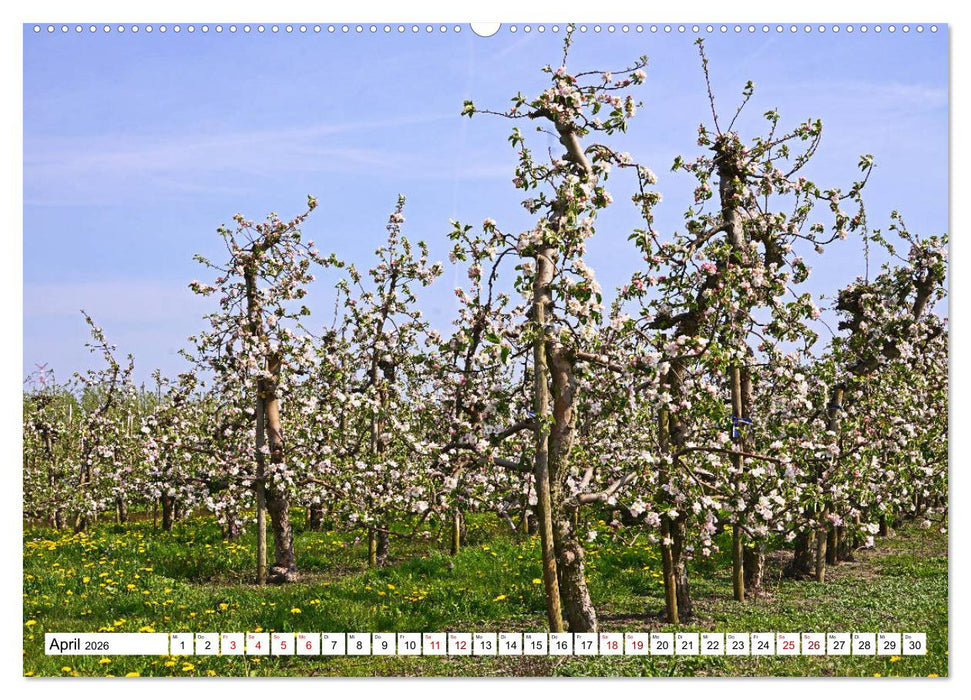 Altes Land 2026 (CALVENDO Premium Wandkalender 2026)