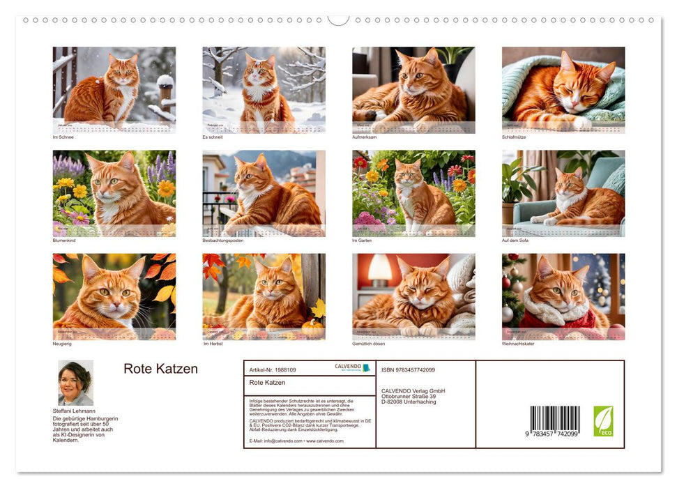 Rote Katzen (CALVENDO Premium Wandkalender 2026)