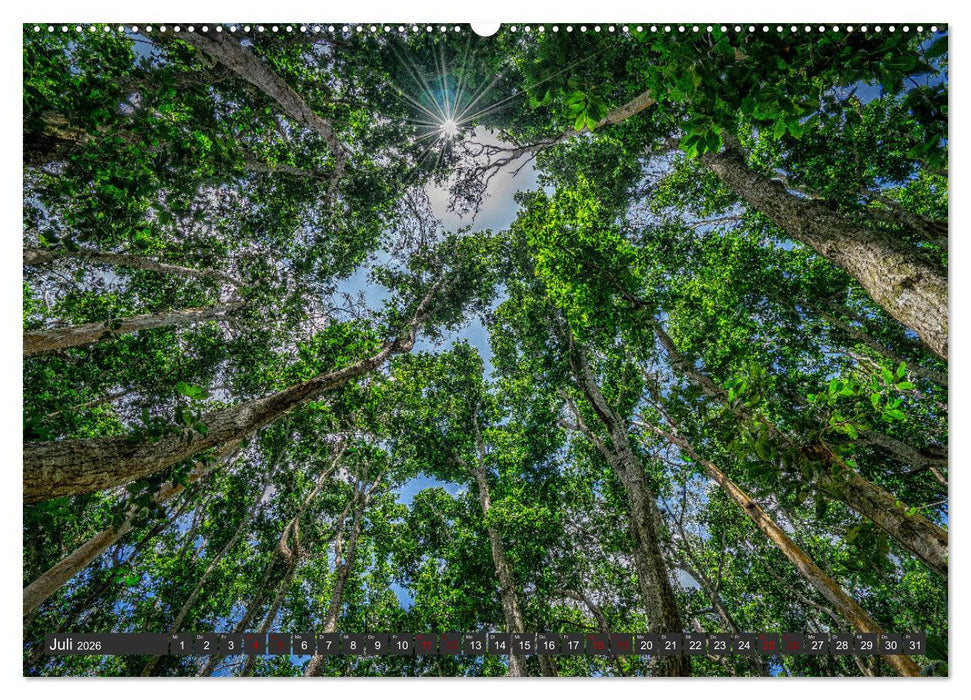 Karibu Sansibar (CALVENDO Premium Wandkalender 2026)