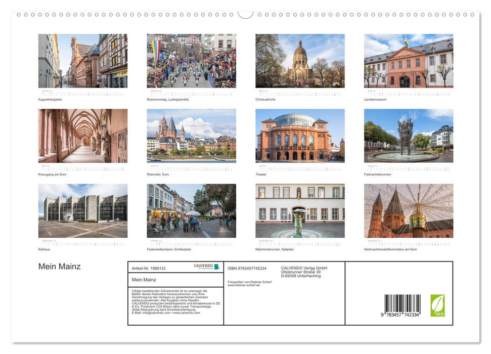 Mein Mainz (CALVENDO Premium Wandkalender 2026)