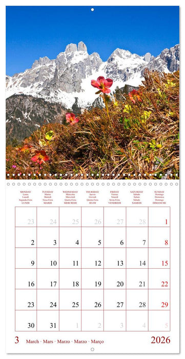 Seasons of the Salzburg Valley (CALVENDO Monthly Calendar 2026)