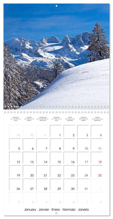 Roof of the Alps (CALVENDO Monthly Calendar 2026)
