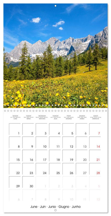 Roof of the Alps (CALVENDO Monthly Calendar 2026)
