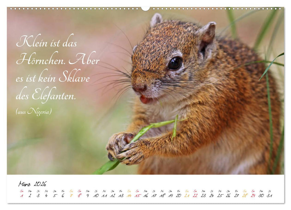 AFRIKA - Kontinent der Poesie (CALVENDO Premium Wandkalender 2026)