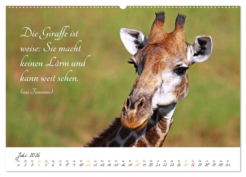 AFRIKA - Kontinent der Poesie (CALVENDO Premium Wandkalender 2026)