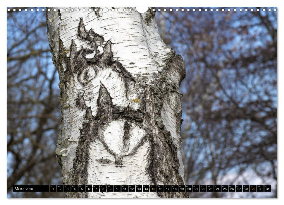 Magische Waldwesen (CALVENDO Wandkalender 2026)