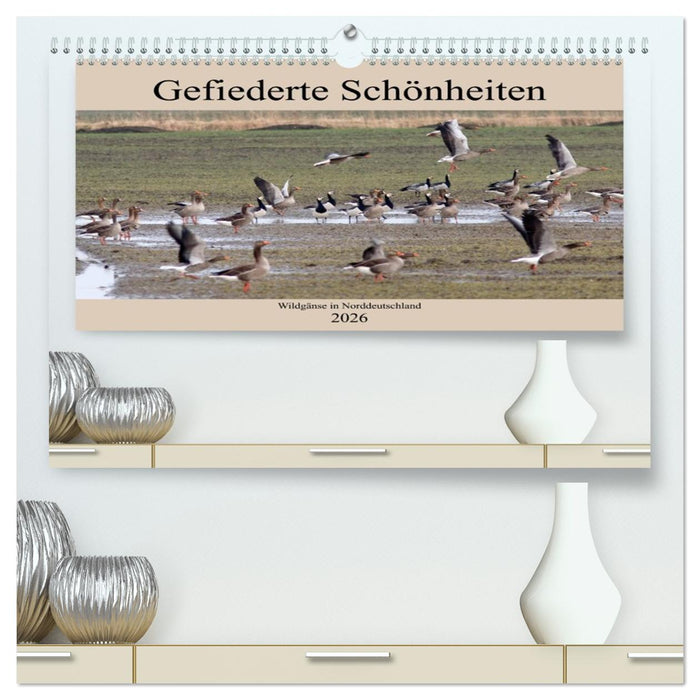 Gefiederte Schönheiten - Wildgänse in Norddeutschland (CALVENDO Premium Wandkalender 2026)