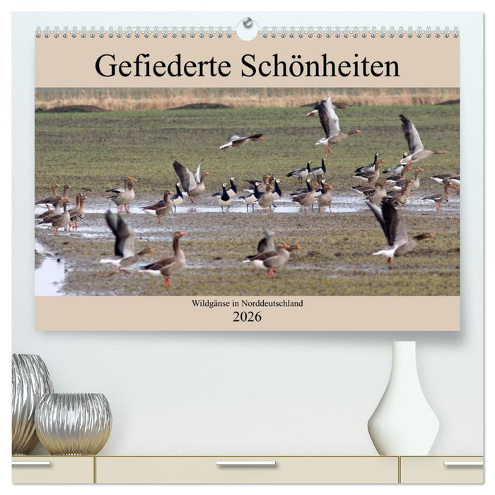 Gefiederte Schönheiten - Wildgänse in Norddeutschland (CALVENDO Premium Wandkalender 2026)