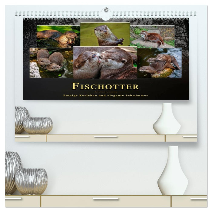 Fischotter - putzige Kerlchen und elegante Schwimmer (CALVENDO Premium Wandkalender 2026)