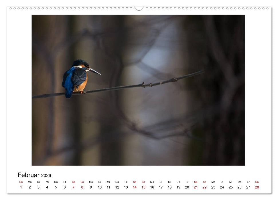 Nymphenburger Park (CALVENDO Premium Wandkalender 2026)