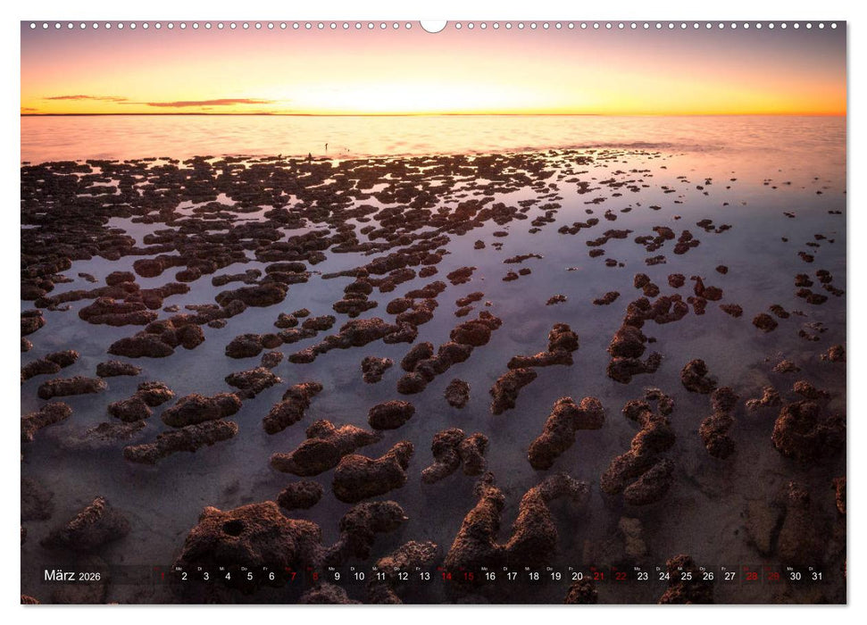 Das wilde Australien (CALVENDO Wandkalender 2026)