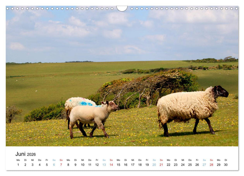 East Sussex (CALVENDO Wandkalender 2026)