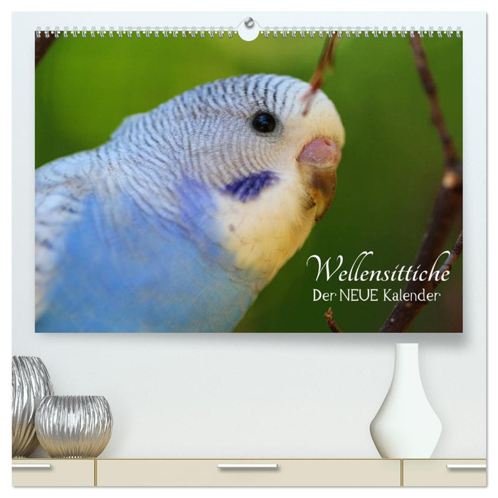 Wellensittiche - der NEUE Kalender (CALVENDO Premium Wandkalender 2026)