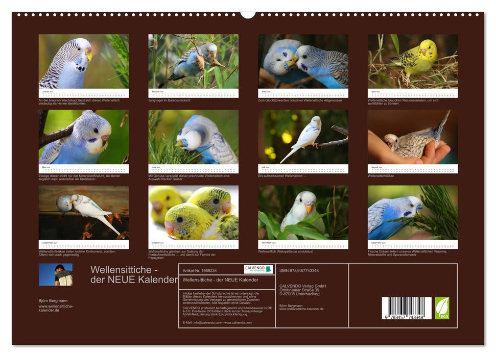 Wellensittiche - der NEUE Kalender (CALVENDO Premium Wandkalender 2026)
