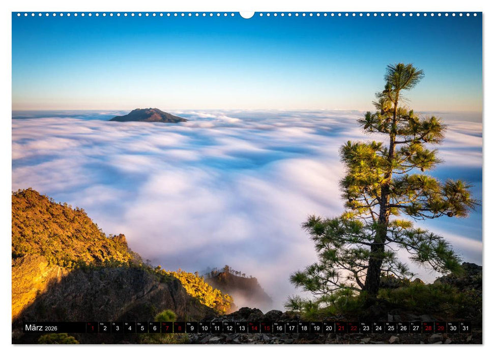 Einmal um die Welt... (CALVENDO Wandkalender 2026)