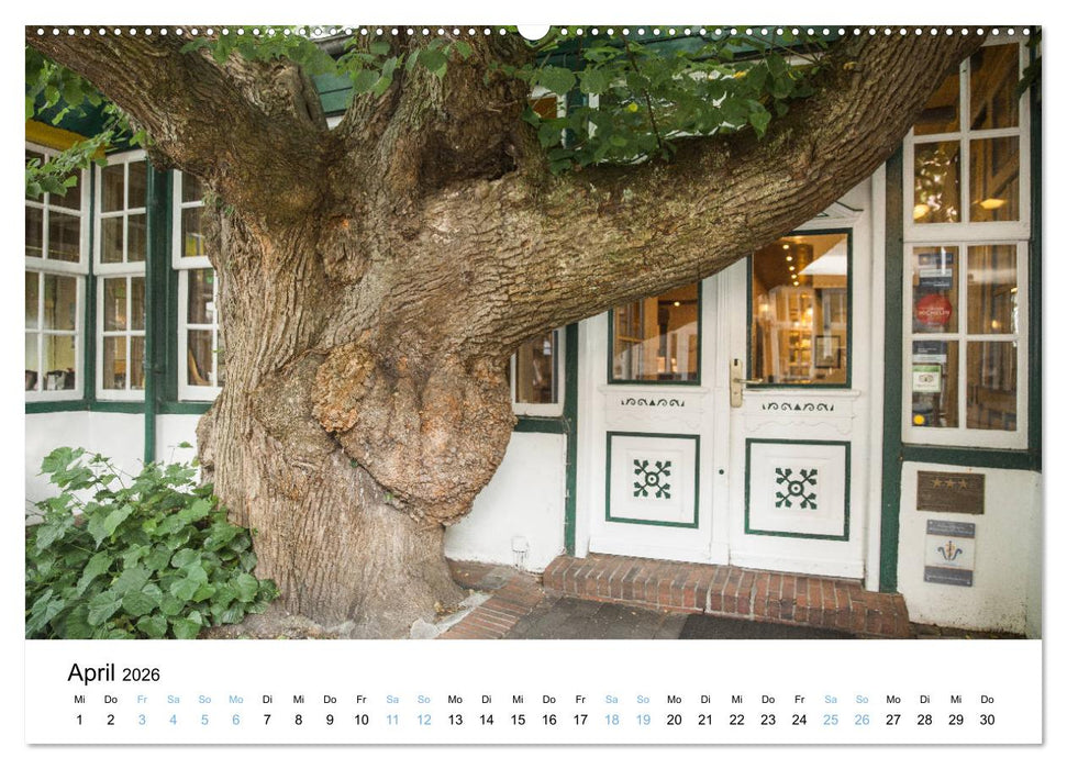 Lieblingsinsel Spiekeroog (CALVENDO Premium Wandkalender 2026)