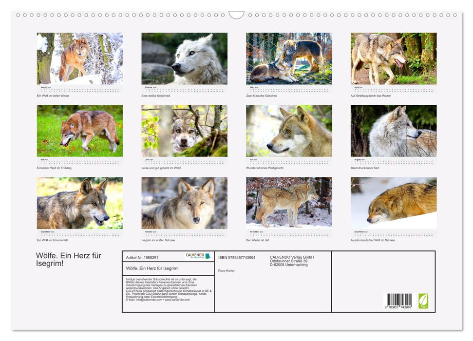 Wölfe. Ein Herz für Isegrim! (CALVENDO Wandkalender 2026)