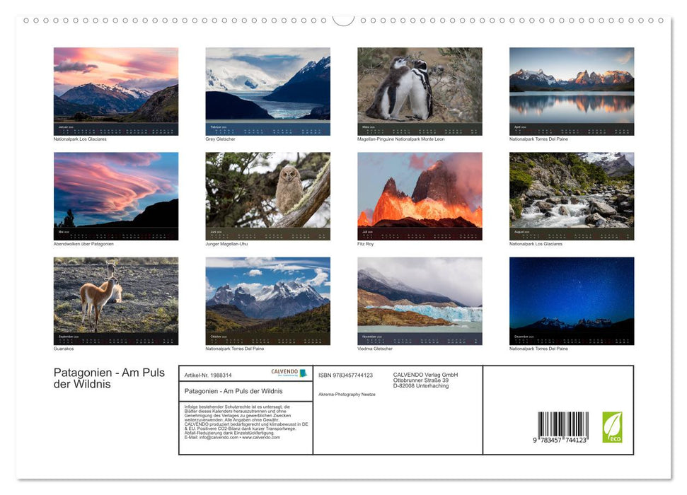 Patagonien - Am Puls der Wildnis (CALVENDO Premium Wandkalender 2026)