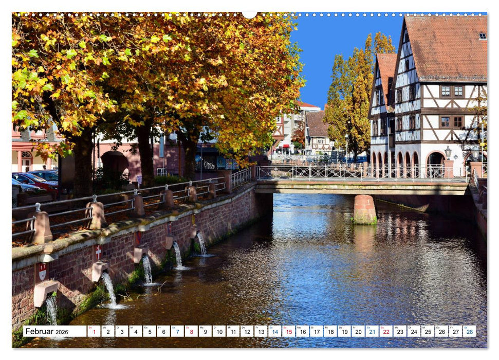 Erbach - Die Odenwälder Residenzstadt (CALVENDO Premium Wandkalender 2026)