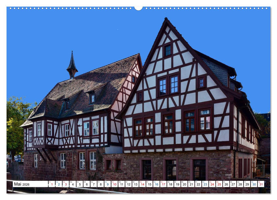 Erbach - Die Odenwälder Residenzstadt (CALVENDO Premium Wandkalender 2026)