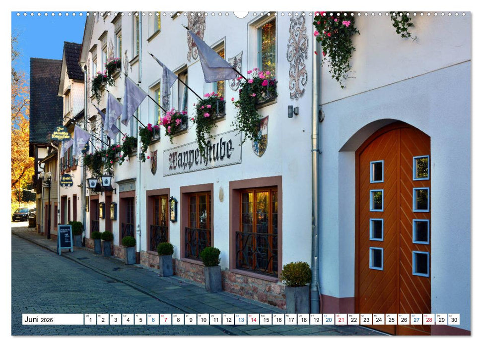 Erbach - Die Odenwälder Residenzstadt (CALVENDO Premium Wandkalender 2026)