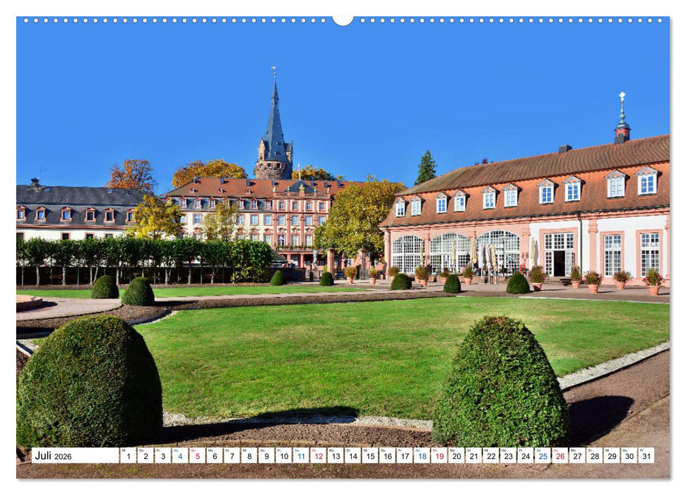 Erbach - Die Odenwälder Residenzstadt (CALVENDO Premium Wandkalender 2026)