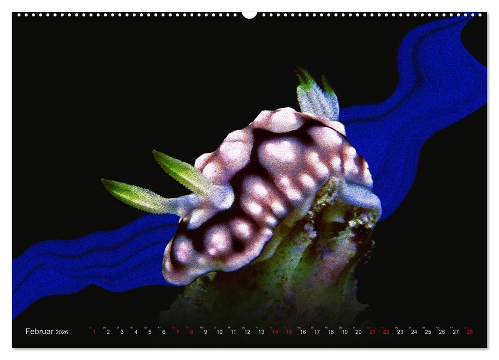 Artwork Unterwasser - Erlebnis Tauchen (CALVENDO Premium Wandkalender 2026)