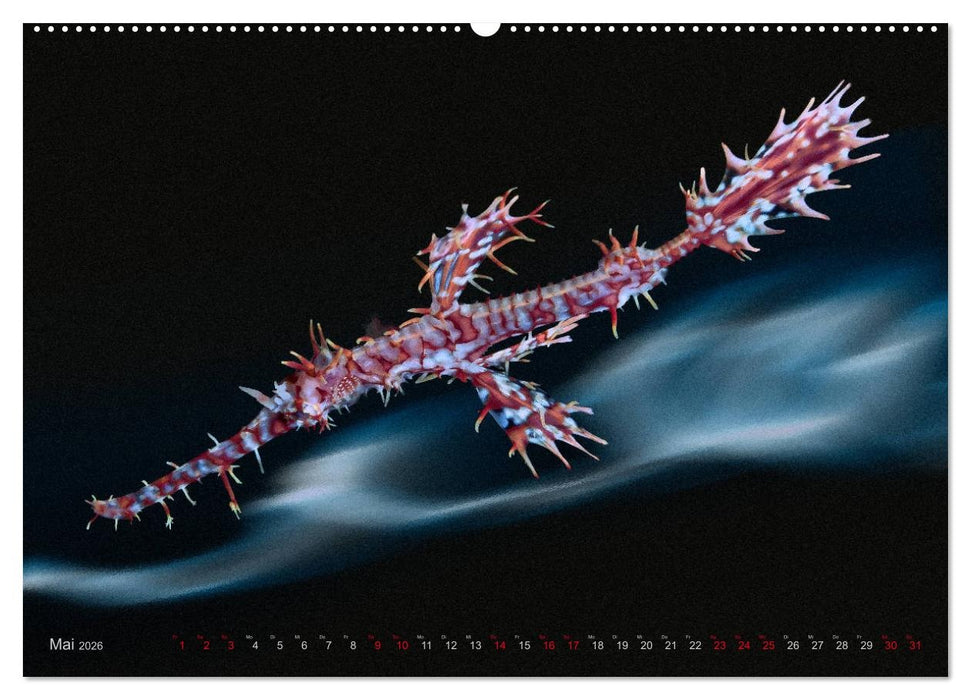 Artwork Unterwasser - Erlebnis Tauchen (CALVENDO Premium Wandkalender 2026)