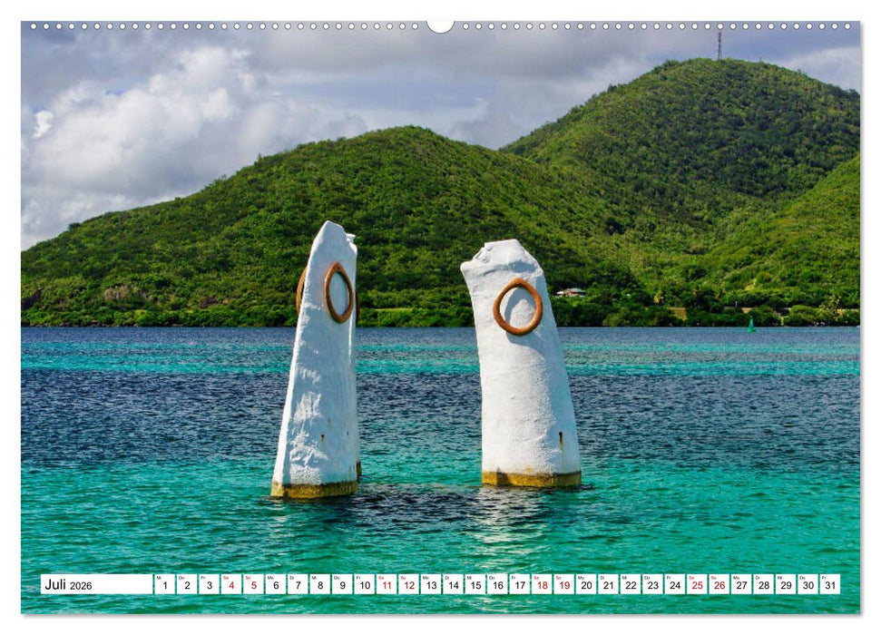 Martinique, die Traumstrände (CALVENDO Premium Wandkalender 2026)